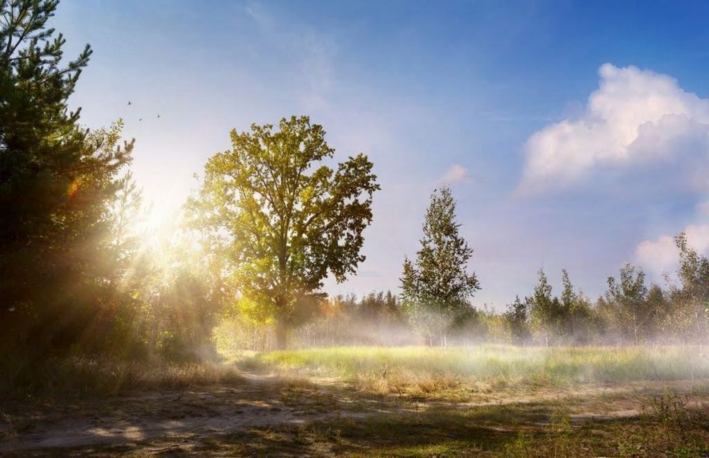 Bien choisir son terrain, comment réaliser son enquête ?